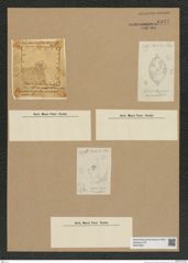 Diatomeae indet. Zeichnungen Sammlung Grunow Nr. 6941 (NHMW-BOT-W0375831)